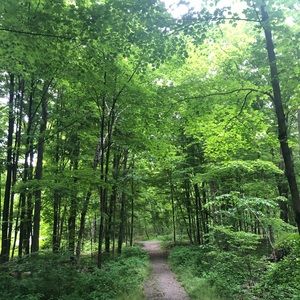 Meet your Posher, Fabiola